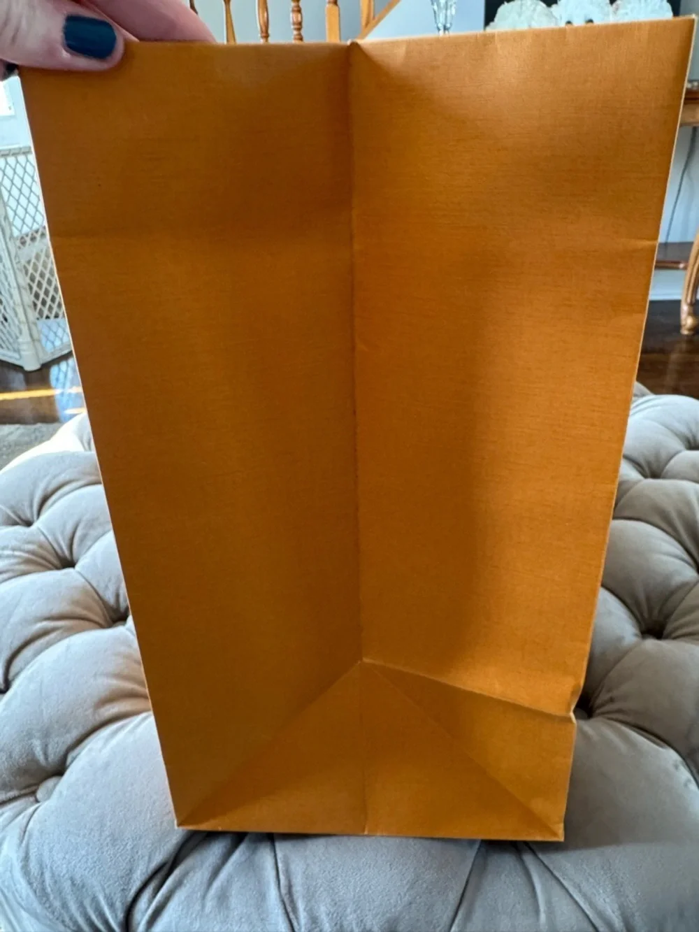 NWOT Louis Vuitton Signature Orange Tote/Gift Bag Large with Blue Ribbon Handles